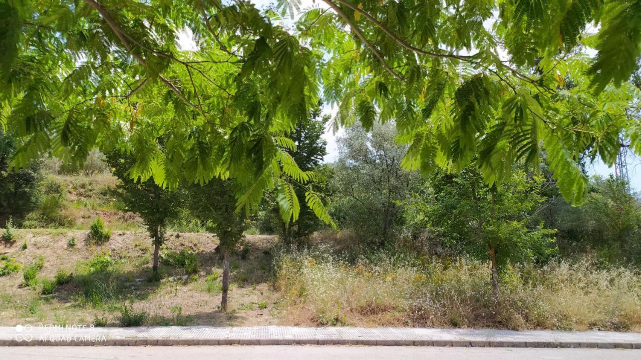 Casa Rural El Cerrete 2 Riópar Extérieur photo